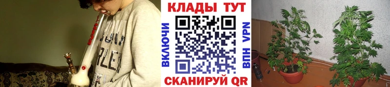 Названия наркотиков Волосово ссылка на мегу tor  Псилоцибиновые грибы  МАРИХУАНА  МЕФ  АМФЕТАМИН 