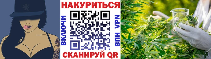 дарк нет как зайти  Волосово  Бошки Шишки White Widow 